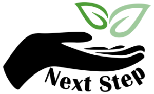 next step clinic logo