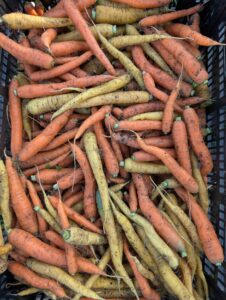 carrots