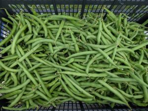 beans