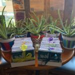 plants and notecards