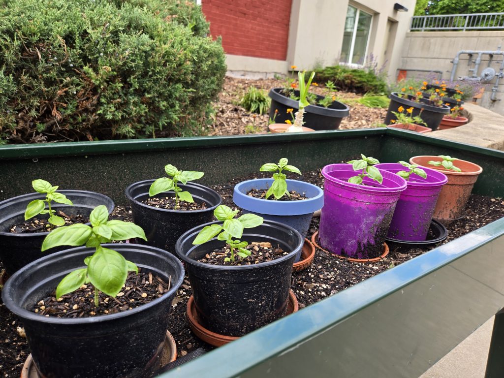 outdoor space 2