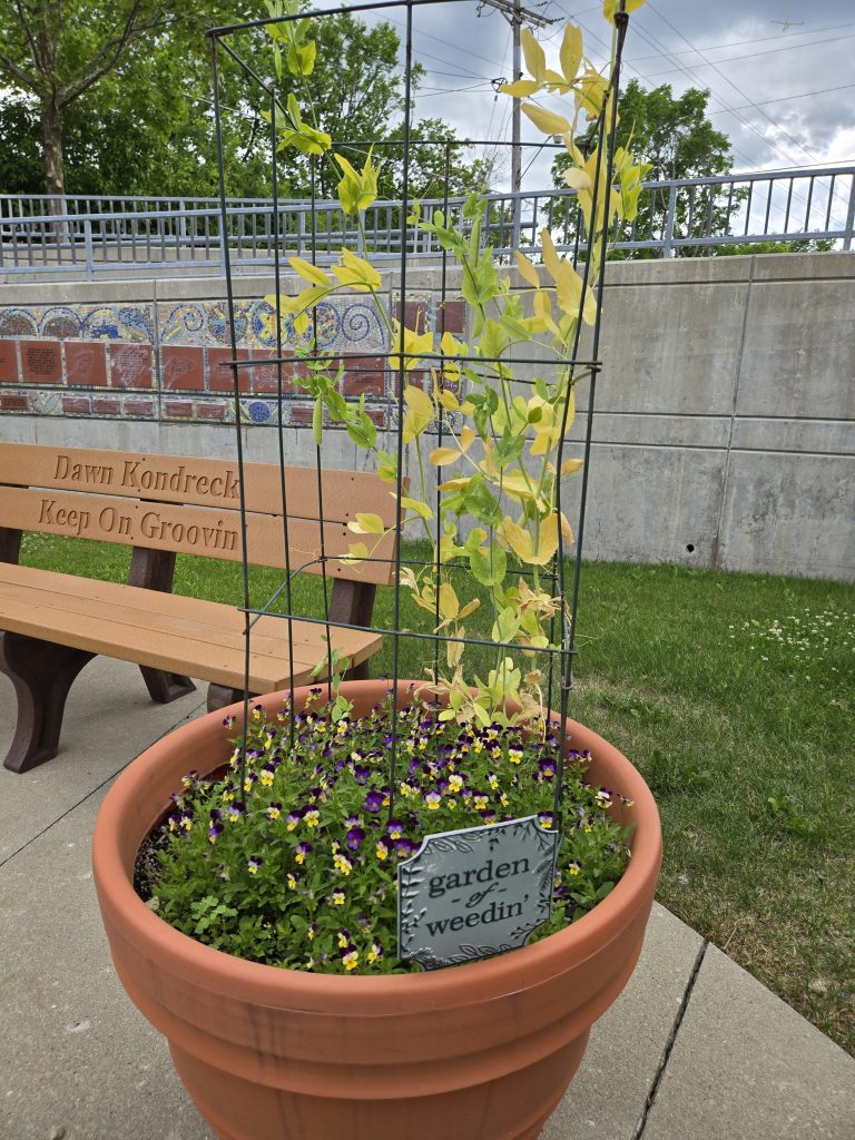 outdoor space 3